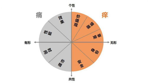 網(wǎng)紅產(chǎn)品的前提 滿足用戶虛擬自我的實現(xiàn)能力
